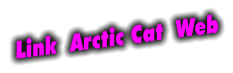 Link  Arctic Cat  Web